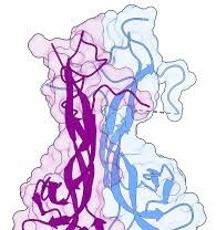 running brain neurons